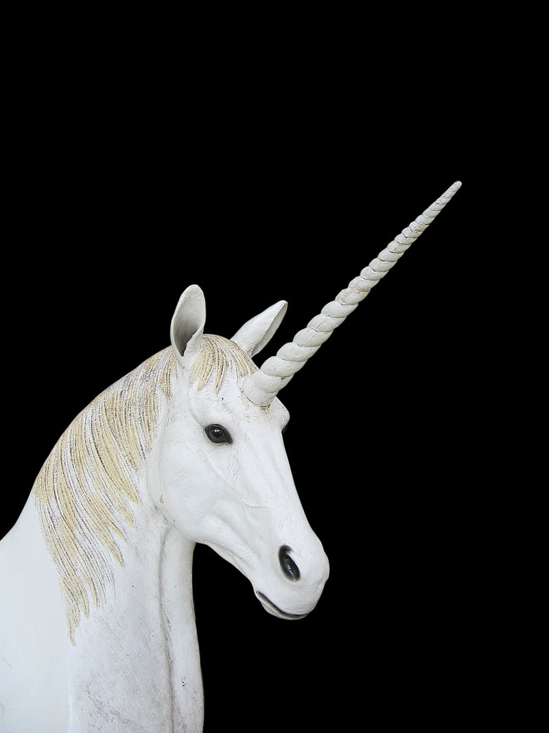 Unicorn Trail